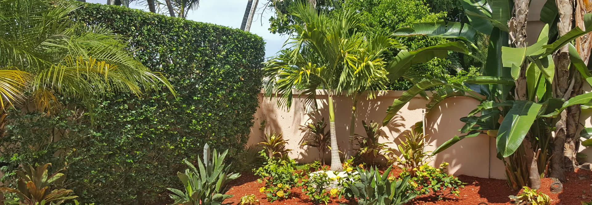 Lawn Care and Landscaping Design Services in Lighthouse Point, Florida